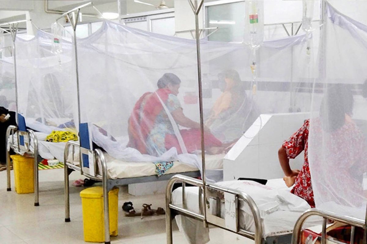 ডেঙ্গু: ২৪ ঘণ্টায় নতুন আক্রান্ত ২৪৪, সবচেয়ে বেশি বরিশালে