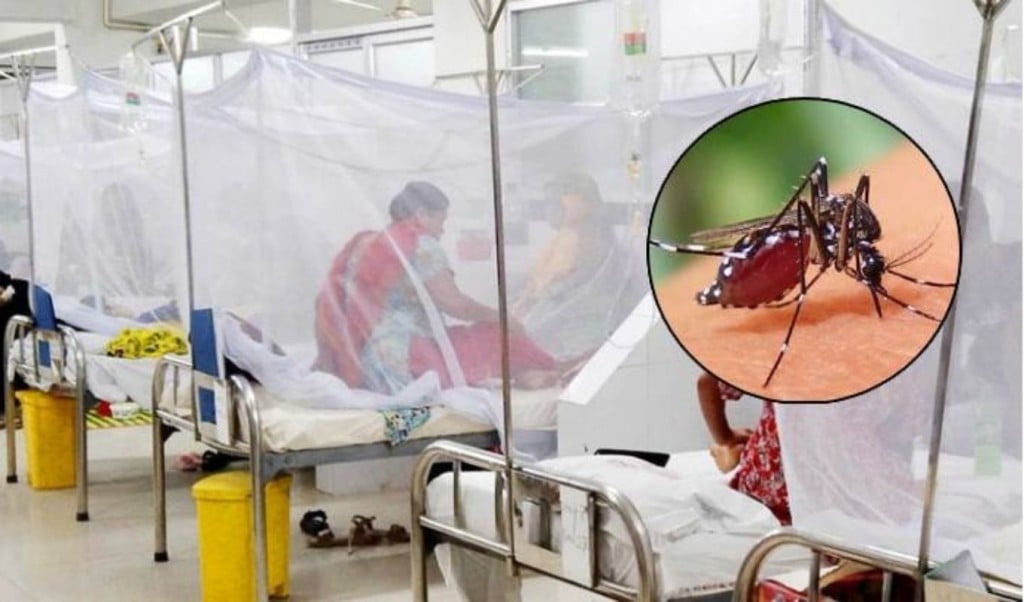 ডেঙ্গুতে আক্রান্ত আরও ৪২৯ 1751285750 ডেঙ্গু আক্রান্ত আরও ৪২৯