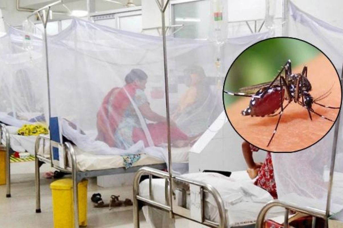 ডেঙ্গু আক্রান্ত আরও ৪২৯