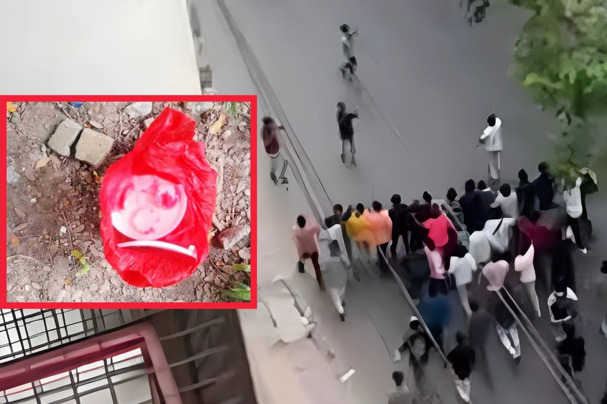 ঢাবিতে ককটেল বিস্ফোরণ, অবিস্ফোরিত ছয়টি উদ্ধার