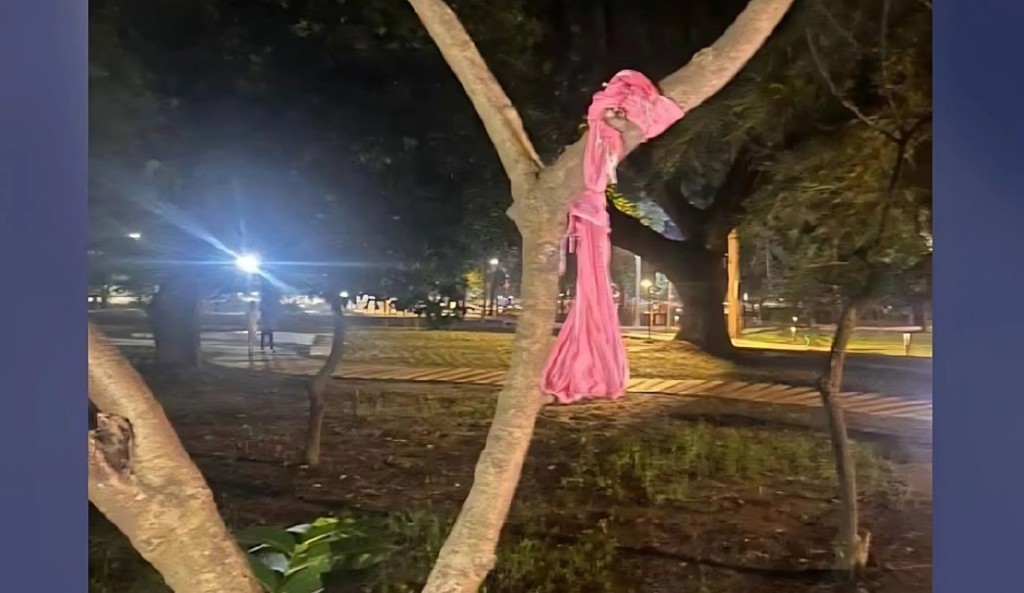 ঢাবির মলচত্বরে গলায় ফাঁস দিয়ে আত্মহত্যার চেষ্টা তরুণীর 1750995754 ঢাবির মলচত্বরে গলায় ফাঁস দিয়ে আত্মহত্যার চেষ্টা তরুণীর