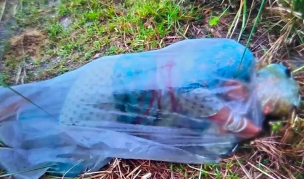 মহাসড়কের পাশে পলিথিনে মোড়ানো এসিডদগ্ধ অন্তঃসত্ত্বা নারী উদ্ধার 1751202386 মহাসড়কের পাশে পলিথিনে মোড়ানো এসিডদগ্ধ অন্তঃসত্ত্বা নারী উদ্ধার