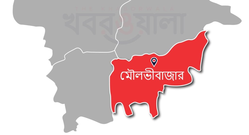 মৌলভীবাজার 02 1748967272 চাচার কোপে দুই ভাতিজি খুন, গুরুতর আহত মা