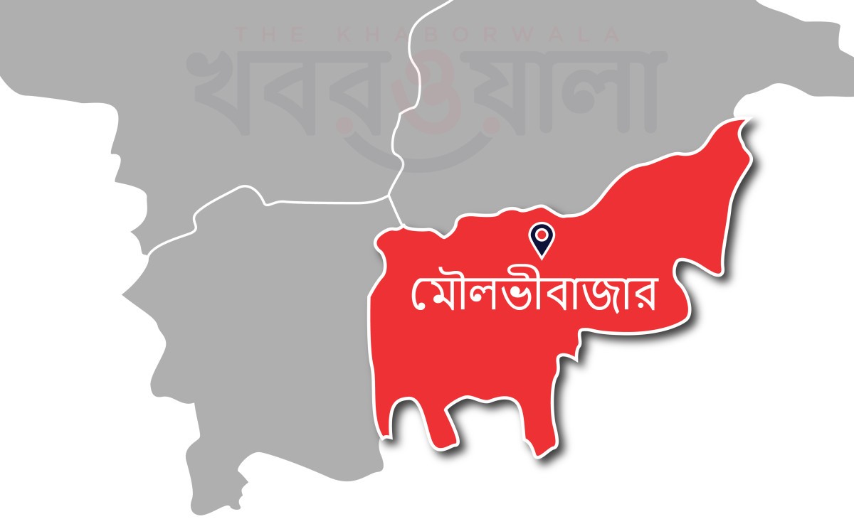 চাচার কোপে দুই ভাতিজি খুন, গুরুতর আহত মা