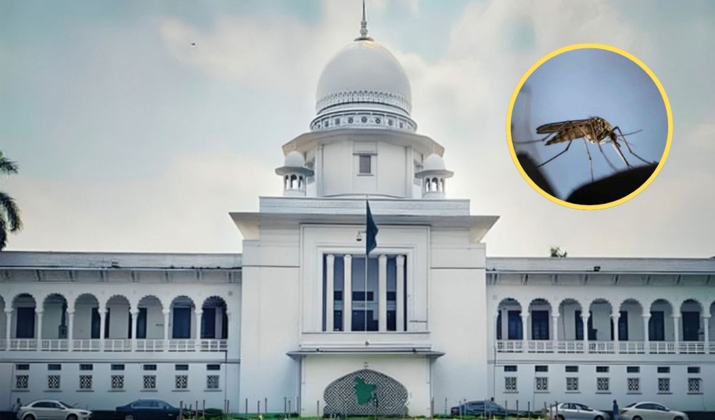 রাজধানীতে মশা নিয়ন্ত্রণে দ্রুত প্রয়োজনীয় পদক্ষেপ নেওয়ার নির্দেশ 1750692018 রাজধানীতে মশা নিয়ন্ত্রণে দ্রুত প্রয়োজনীয় পদক্ষেপ নেওয়ার নির্দেশ