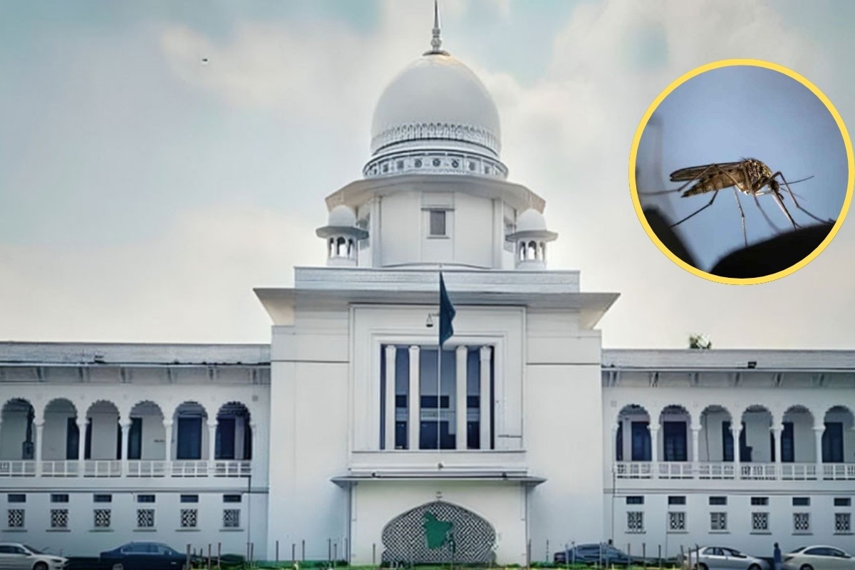 রাজধানীতে মশা নিয়ন্ত্রণে দ্রুত প্রয়োজনীয় পদক্ষেপ নেওয়ার নির্দেশ