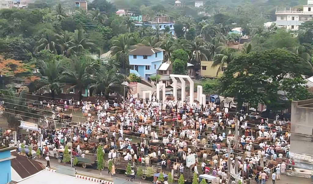 শহীদ মিনারে বসেছে পশুর হাট 1749018682 শহীদ মিনারে বসেছে পশুর হাট!