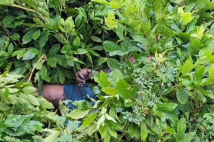 নিখোঁজের দুইদিন পর যুবকের মরদেহ মিলল ঝোপে