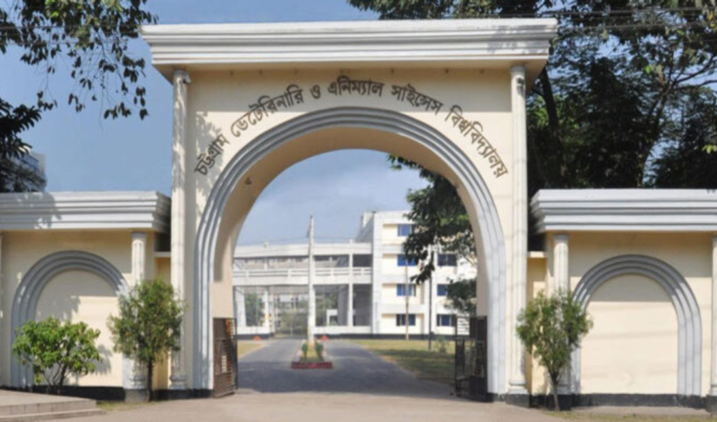সিভাসুতে র্যাগিংয়ের ঘটনায় ১৯ শিক্ষার্থী বহিষ্কার, ২ জনের ছাত্রত্ব বাতিল 3 Untitled design 61 1751746851 সিভাসুতে র্যাগিংয়ের ঘটনায় ১৯ শিক্ষার্থী বহিষ্কার, ২ জনের ছাত্রত্ব বাতিল