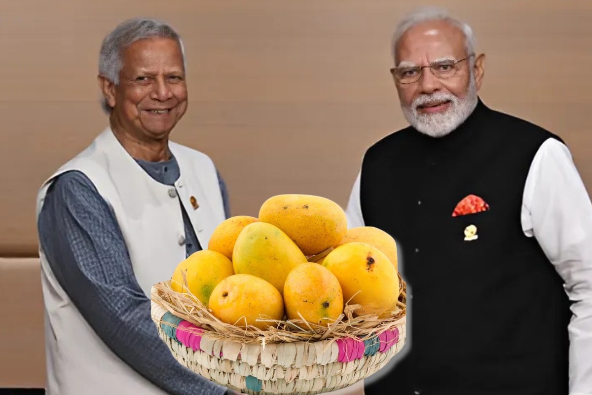 এবার মোদিকে আম পাঠাচ্ছেন প্রধান উপদেষ্টা