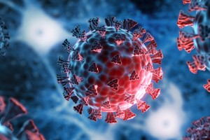 করোনাভাইরাস