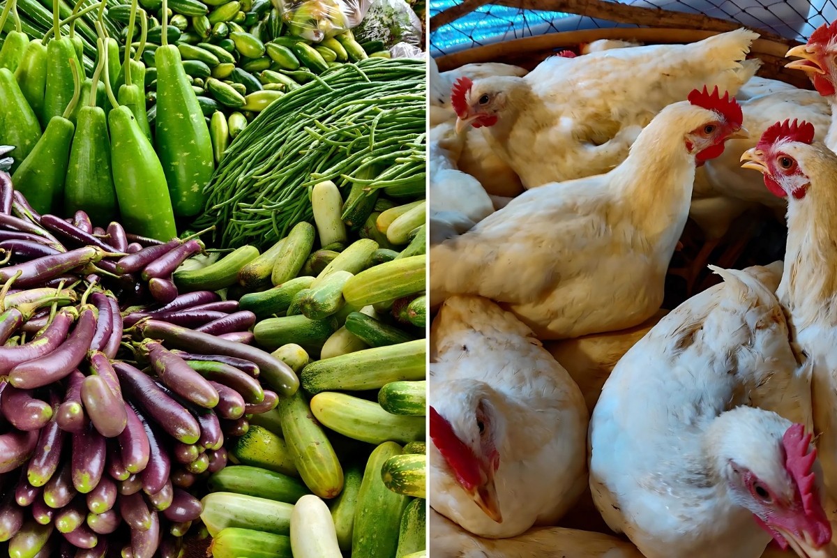 খুচরা বাজারে বেড়েছে সবজি-মুরগি-পেঁয়াজের দাম