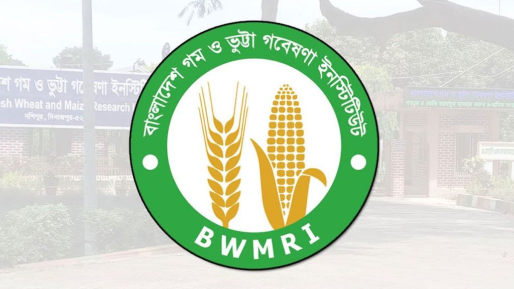 গম ও ভুট্টা গবেষণা ইনস্টিটিউটে ২০ পদে চাকরির সুযোগ 2 গম ও ভুট্টা 1752913633 গম ও ভুট্টা গবেষণা ইনস্টিটিউটে ২০ পদে চাকরির সুযোগ
