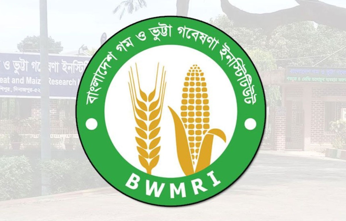 গম ও ভুট্টা গবেষণা ইনস্টিটিউটে ২০ পদে চাকরির সুযোগ