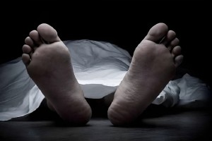 জমি নিয়ে বিরোধের জেরে ভাগনের হাতে মামা খুন