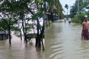 নিঝুমদ্বীপ