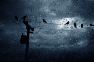 সারাদেশে টানা পাঁচদিন মাঝারি থেকে অতিভারী বৃষ্টির সম্ভাবনা