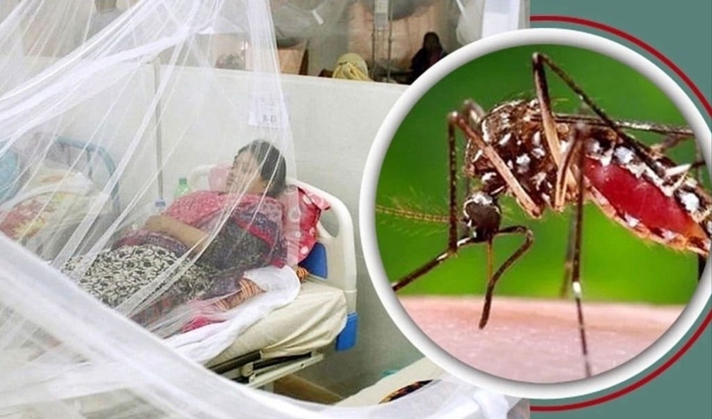 ডেঙ্গুতে আক্রান্ত আরও ২৯৪, মৃত্যু বেড়ে ৪৫ 3 ডেঙ্গুতে আক্রান্ত আরও ২৯৪ মৃত্যু বেড়ে ৪৫ 1751719867 ডেঙ্গুতে আক্রান্ত আরও ২৯৪, মৃত্যু বেড়ে ৪৫
