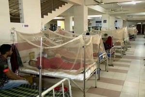 ডেঙ্গুতে আরও ৪ জনের মৃত্যু, হাসপাতালে ৩১৯