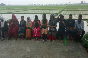 ধামইরহাট সীমান্তে নারীসহ ১০ জনকে পুশইন করলো বিএসএফ