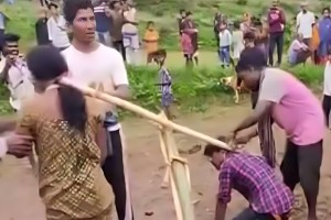 নবদম্পতির কাঁধে জোয়াল তুলে হালচাষ!