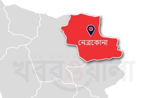 নেত্রকোনায় দম্পতিকে বেঁধে নির্যাতন ও লুটপাট, যুবদল নেতাসহ গ্রেপ্তার ২