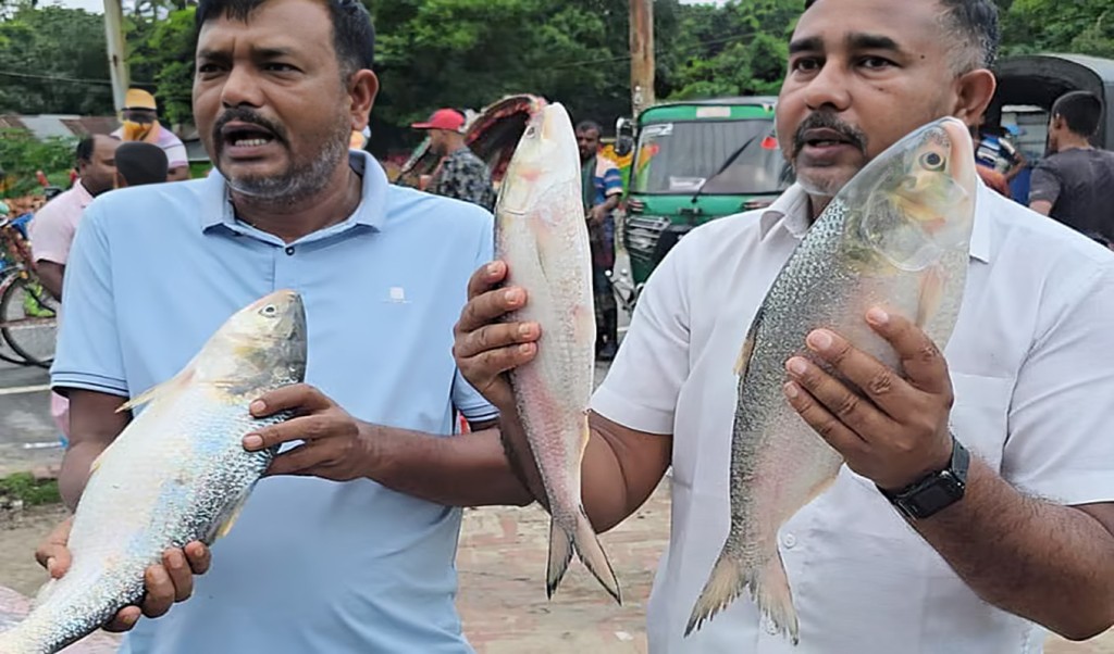 পাঙাশ ১৮ হাজার টাকায় বিক্রি 1752567749 পদ্মার একটি ইলিশ ৮ হাজার, পাঙাশ ১৮ হাজার টাকায় বিক্রি!