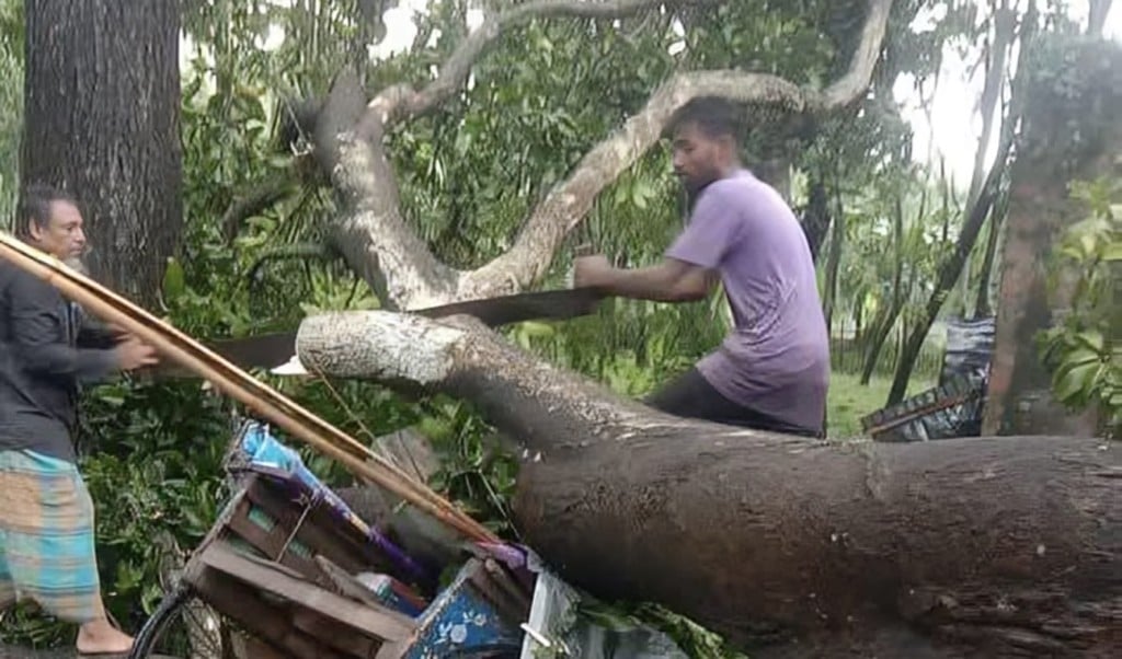 বজ্রপাতে আহত চাচা ভাতিজা 1753344585 জয়পুরহাটে গাছ পড়ে এক ব্যক্তি নিহত, বজ্রপাতে আহত চাচা-ভাতিজা