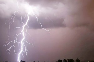 বজ্রপাতে প্রাণ গেলো প্রিন্স বাবুর