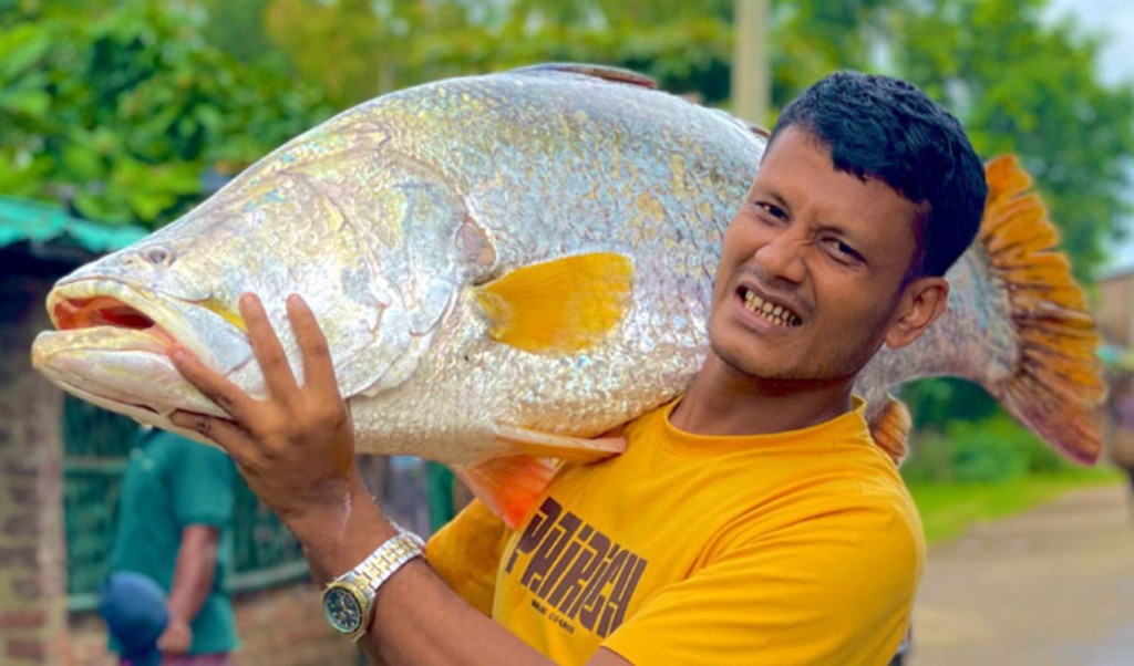 বড়শিতে ধরা পড়লো ২৬ কেজির কোরাল, ৩৯ হাজারে বিক্রি 4 কোরাল