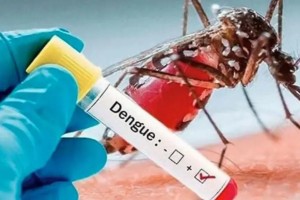 বরিশালে ডেঙ্গুতে এক নারীর মৃত্যু, আক্রান্ত ১৪৯