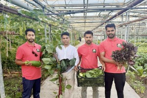 ব্রিটেনে প্রথমবারের মতো বাণিজ্যিকভাবে বাংলাদেশের সবজি চাষ