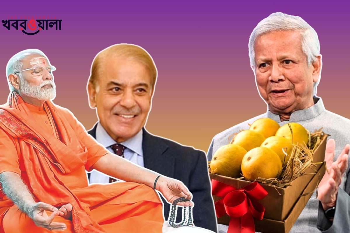 ভারত-পাকিস্তানসহ পাঁচ দেশে আম পাঠাচ্ছেন প্রধান উপদেষ্টা