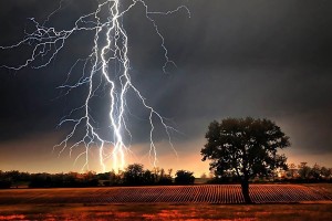 ভালুকায় বজ্রপাতে প্রাণ গেলো কৃষকের