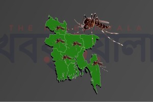 ঘরে ঘরে ছড়িয়ে পড়ছে ভাইরাস জ্বর, সাথে ডেঙ্গু ও চিকনগুনিয়া আতঙ্ক