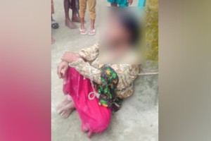 নির্যাতন