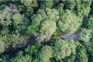 মিয়ানমারে উলফার ঘাঁটিতে ভারতীয় সেনাবাহিনীর ড্রোন হামলার অভিযোগ