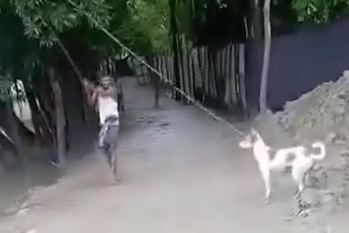 বরিশালে কুকুরকে গলায় ফাঁস দিয়ে নির্মমভাবে হত্যা, যুবককে অর্থদণ্ড