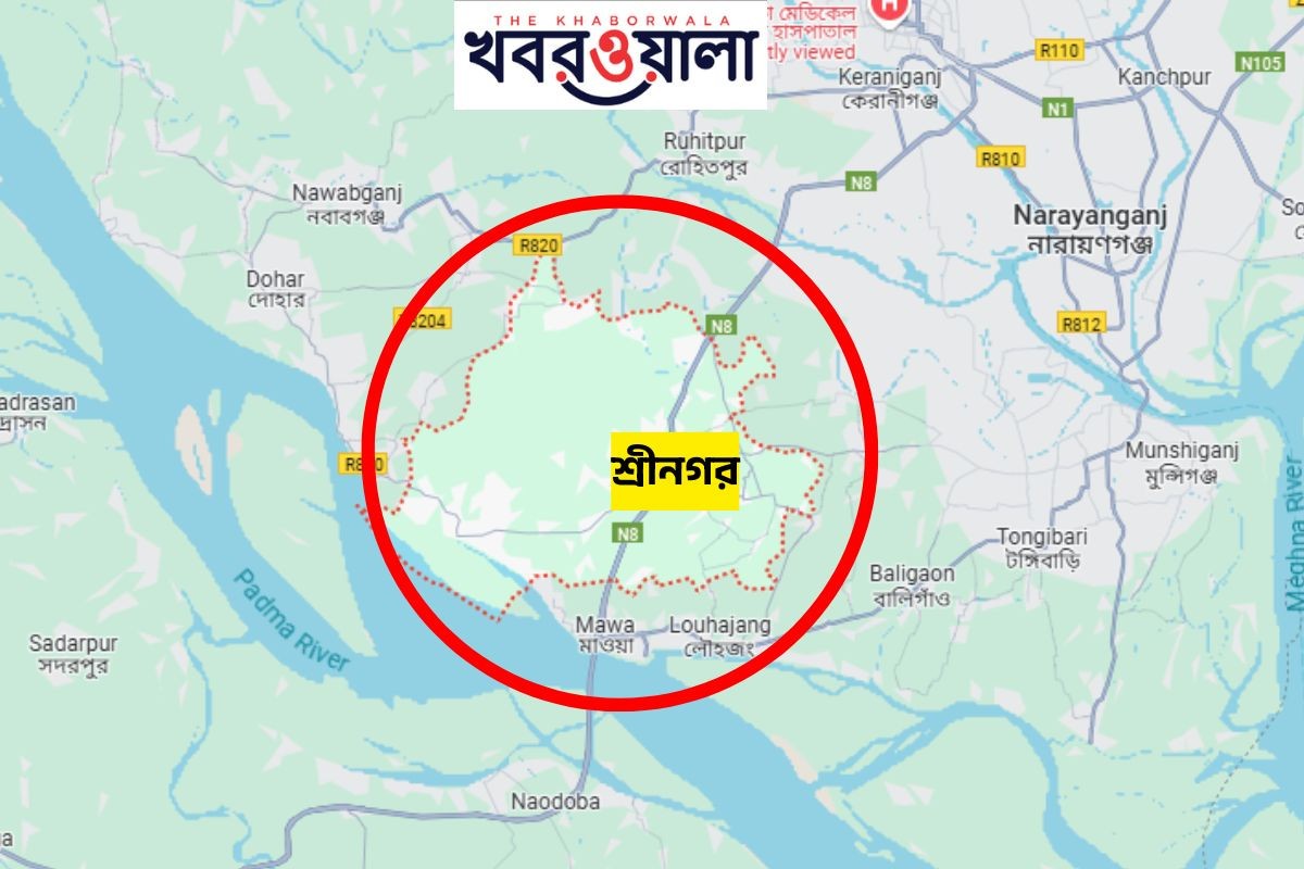 শ্রীনগরে যমজ শিশু হত্যার দায় স্বীকার করলেন মা