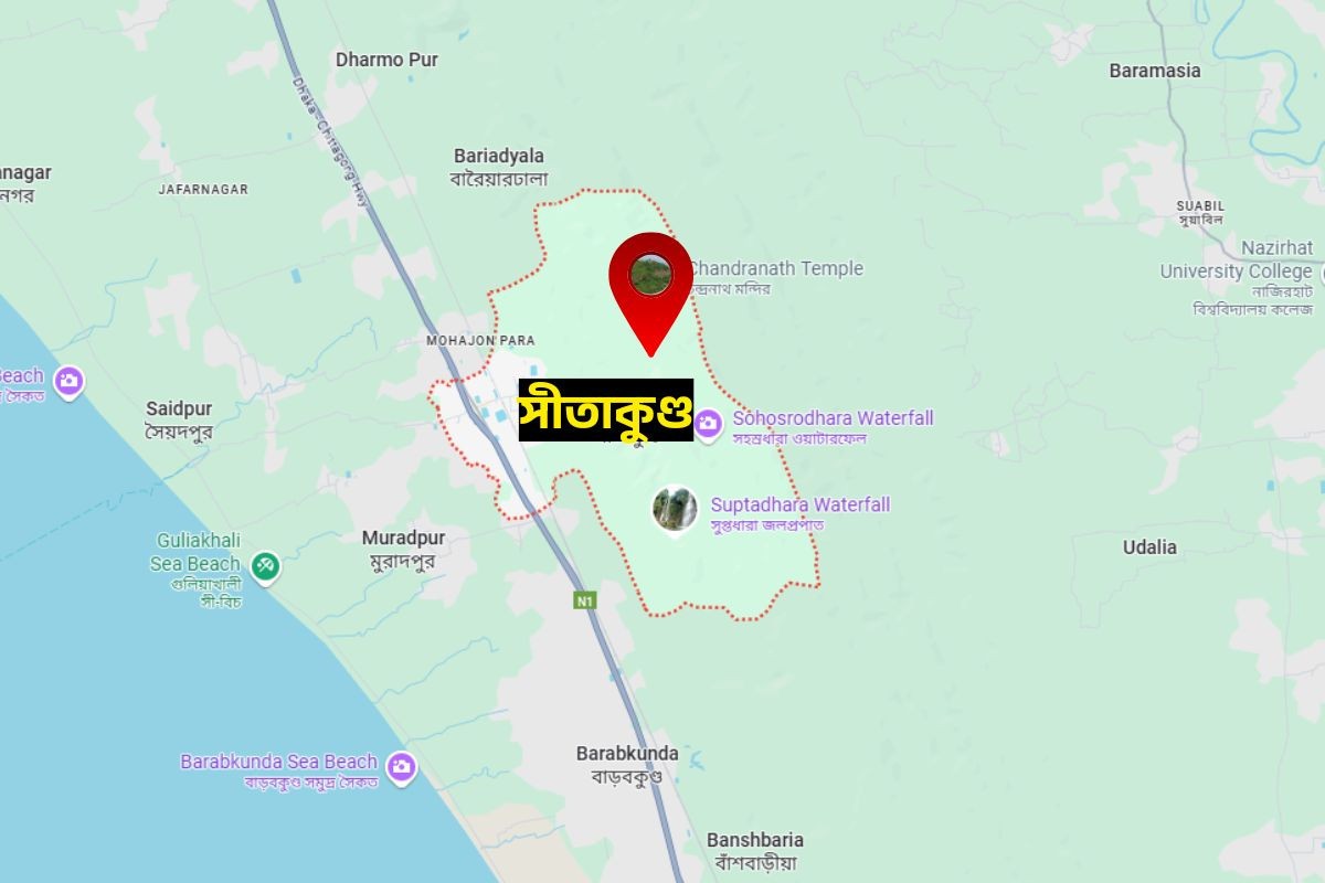 স্ত্রীকে পুড়িয়ে হত্যার অভিযোগে পলাতক স্বামী গ্রেপ্তার