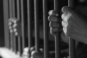 সাজাপ্রাপ্ত আরও ২৯ বন্দিকে মুক্তির আদেশ