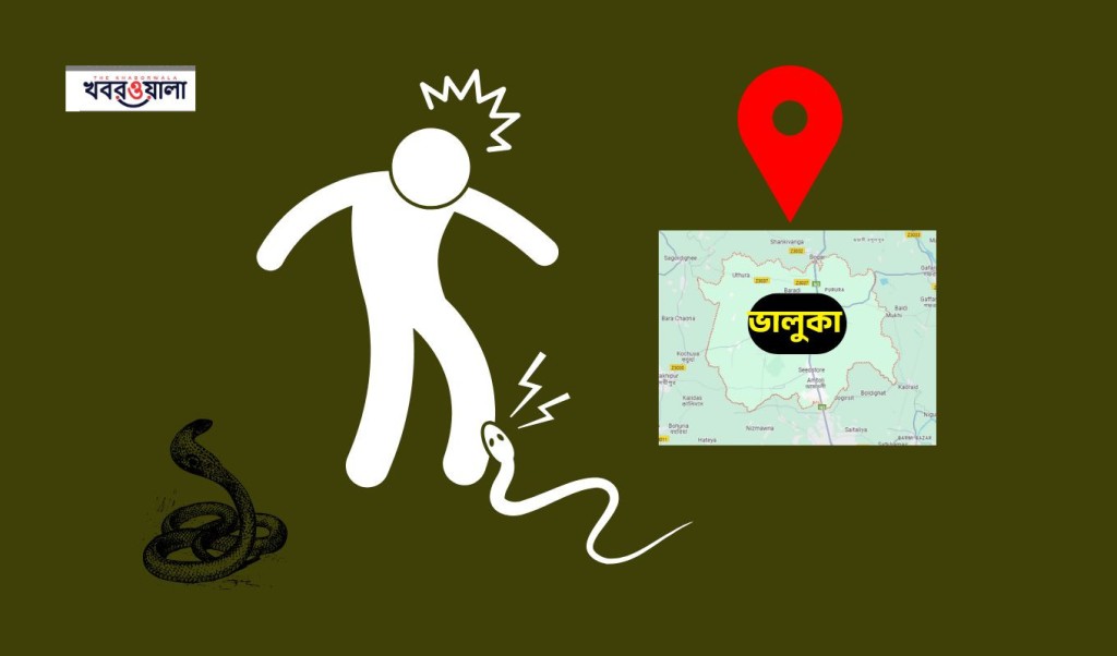 সাপে কামড় 1752386293 দোকানে বসে থাকা অবস্থায় বিষাক্ত সাপের কামড়ে ব্যবসায়ীর মৃত্যু