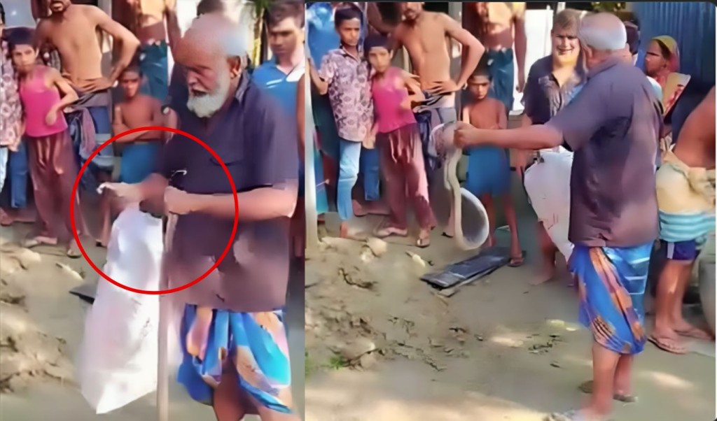 সাপে কামড়ে মৃত্যু 1753865263 কুড়িগ্রামে সাপের কামড়ে সাপুড়ের মৃত্যু
