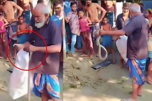 কুড়িগ্রামে সাপের কামড়ে সাপুড়ের মৃত্যু