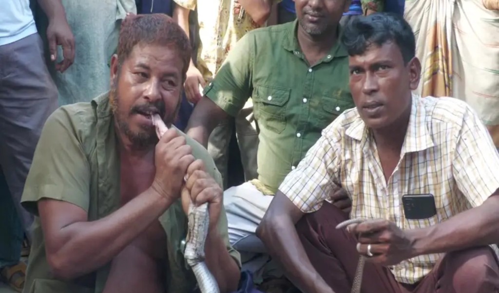 সাপের ছোবলে সাপুড়ের মৃত্যু, সেই সাপকেই কাঁচা খেয়ে ফেললেন আরেক সাপুড়ে 4 সাপের ছোবলে সাপুড়ের মৃত্যু সেই সাপকেই কাঁচা খেয়ে ফেললেন আরেক সাপুড়ে 1753887559 সাপের ছোবলে সাপুড়ের মৃত্যু, সেই সাপকেই কাঁচা খেয়ে ফেললেন আরেক সাপুড়ে