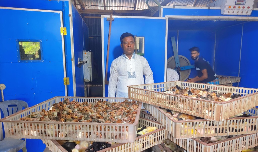 হাঁস-মুরগির বাচ্চা ফুটিয়ে ভাগ্যের চাকা ঘুরল রঞ্জুর 4 হাঁস মুরগির বাচ্চা ফুটিয়ে ভাগ্যের চাকা ঘুরল রঞ্জুর 1752410824 হাঁস-মুরগির বাচ্চা ফুটিয়ে ভাগ্যের চাকা ঘুরল রঞ্জুর