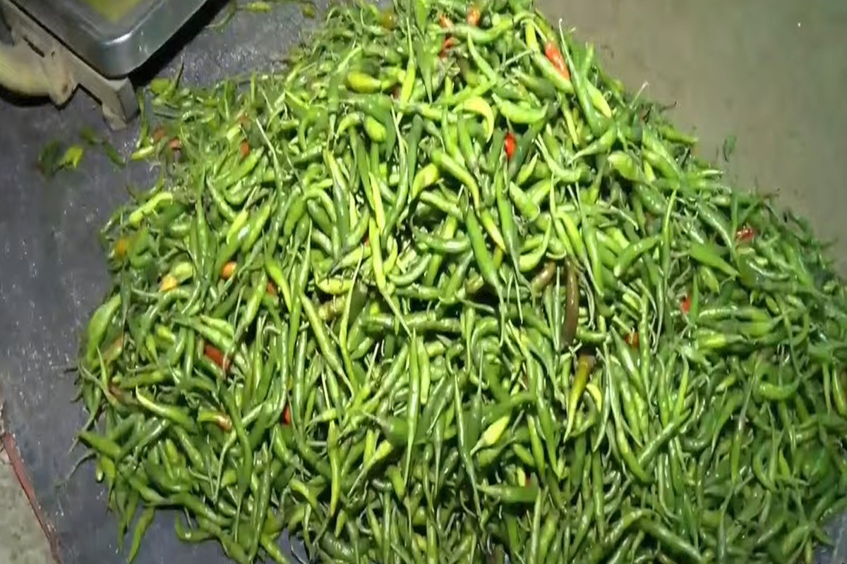 কাঁচা মরিচের দাম উঠলো ১১ হাজারে!