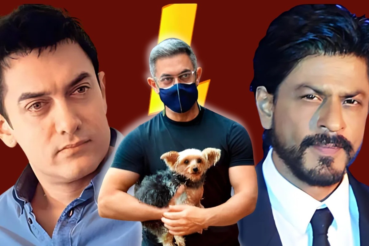 ‘শাহরুখ নামে কুকুর পালা’ মন্তব্যের ব্যাখ্যা দিলেন আমির খান