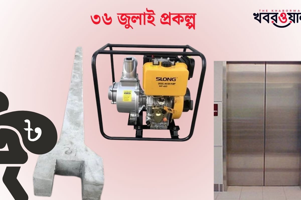 ‘৩৬ জুলাই’ প্রকল্পের নামে হরিলুট,  ৯শ’ টাকার পিলার ৪০ হাজার!