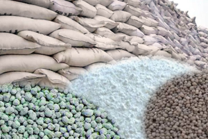 টাঙ্গাইলের ঘাটাইলে সারের কৃত্রিম সংকট